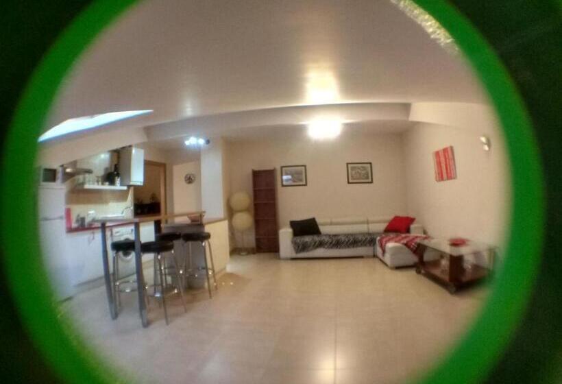 آپارتمان لوکس 1 خوابه, Caminito Arg