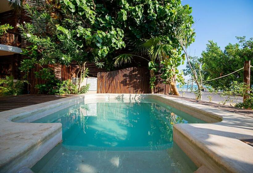 اتاق لوکس, Spirit Holbox