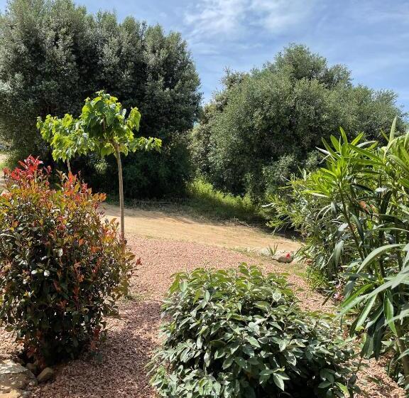 اتاق استاندارد با تخت بزرگ, Résidence Patios Di Pruno