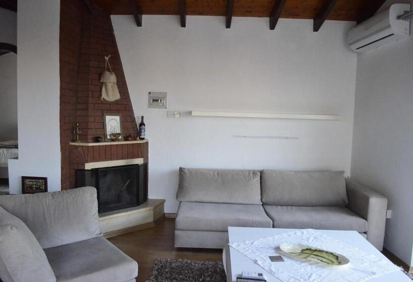 استودیوی استاندارد, Miray Guest House Boutique