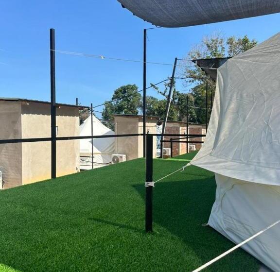 اتاق استاندارد, Dnamie Glamping   Lux Tent