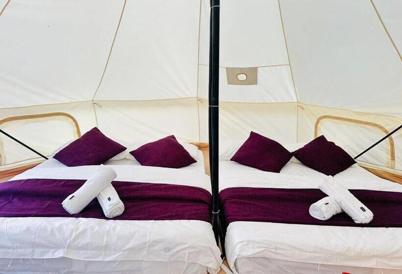 اتاق استاندارد چهار تخته, Dnamie Glamping   Lux Tent