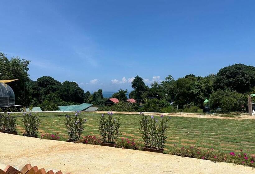 اتاق پریمیوم چهارنفره, Dnamie Glamping   Lux Tent