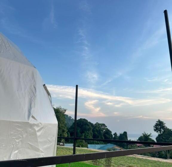 اتاق پریمیوم چهارنفره, Dnamie Glamping   Lux Tent