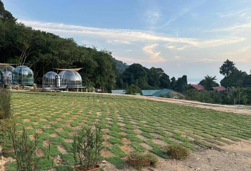 سوییت, Dnamie Glamping   Lux Tent