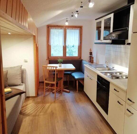 آپارتمان 1 خوابه با بالکن, Haus Roswitha