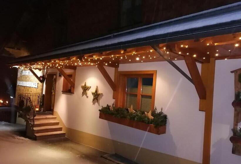آپارتمان 1 خوابه با بالکن, Haus Roswitha