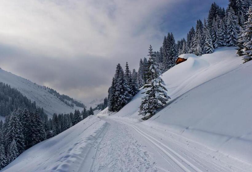 آپارتمان 1 خوابه با بالکن, Haus Roswitha