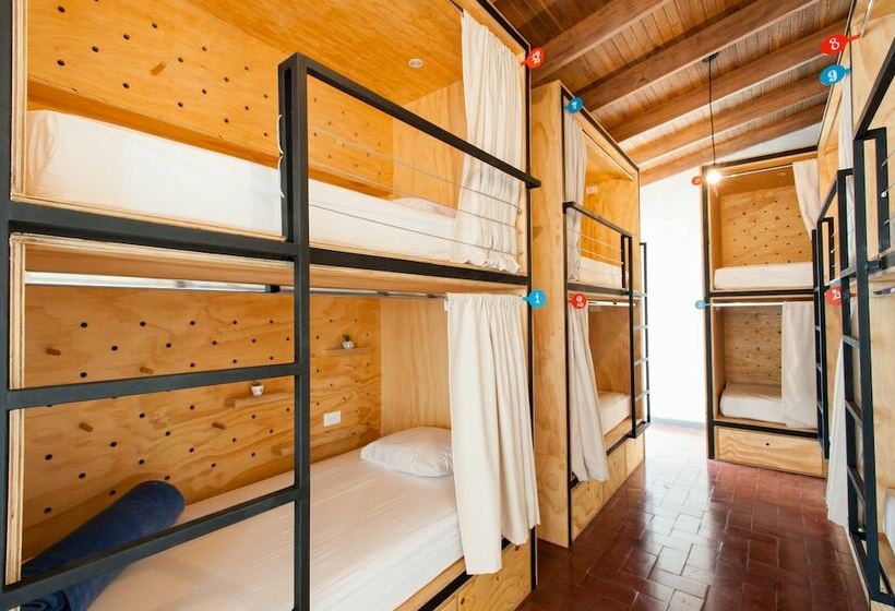 تختخواب در اتاق مشترک, Capital Hostel De Ciudad