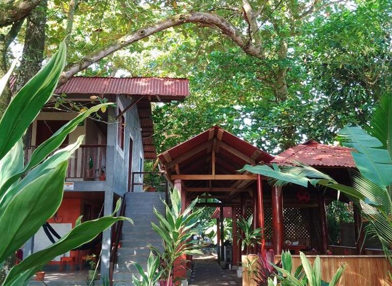 اتاق استاندارد چهار تخته, Gecko De Tortuguero