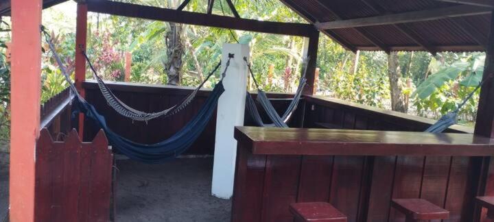 اتاق استاندارد چهار تخته, Gecko De Tortuguero