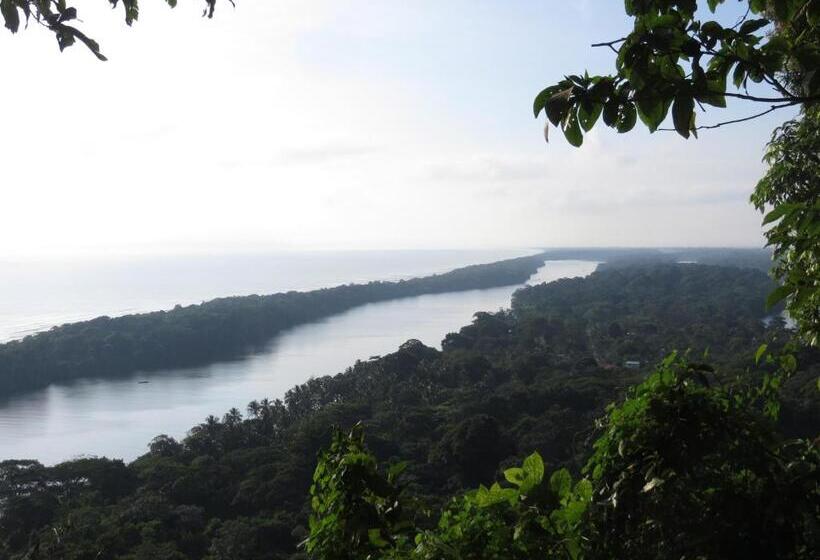 اتاق استاندارد سه تخته با چشم‌انداز باغ, Gecko De Tortuguero