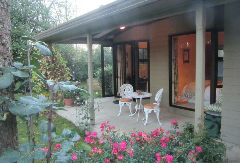 استودیوی لوکس, Oldfields