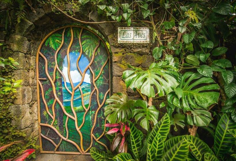سوییت جونیور, Finca Rosa Blanca Coffee Farm And Inn