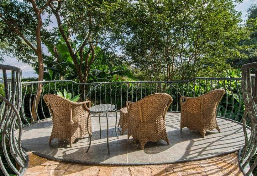 سوییت جونیور, Finca Rosa Blanca Coffee Farm And Inn