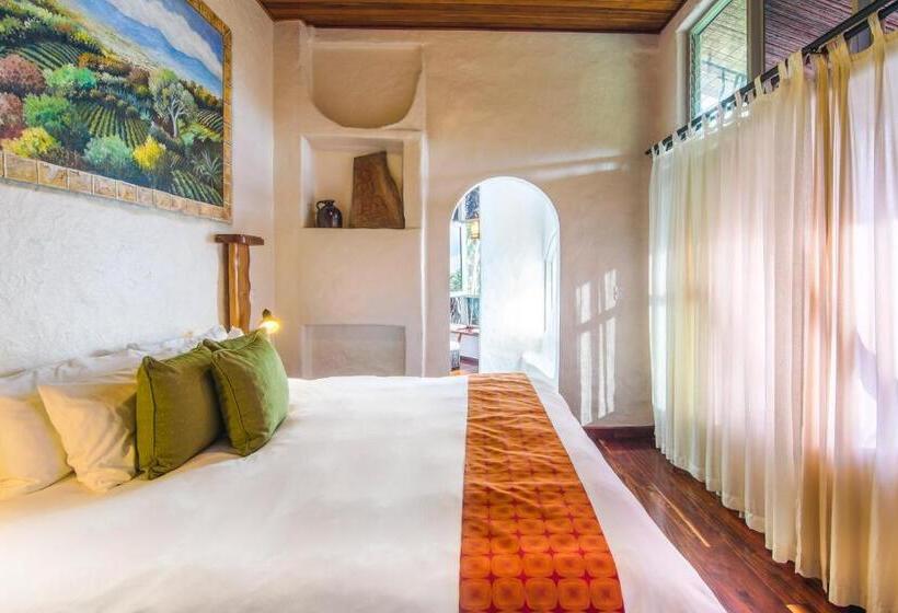 سوییت جونیور, Finca Rosa Blanca Coffee Farm And Inn