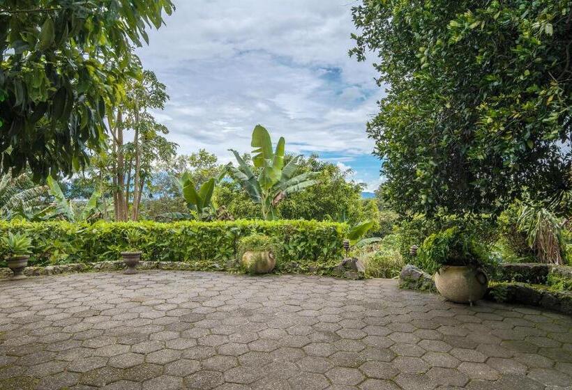سوییت, Finca Rosa Blanca Coffee Farm And Inn