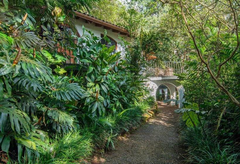 Suíte Júnior, Finca Rosa Blanca Coffee Farm And Inn