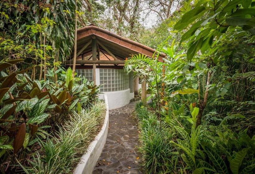سوییت, Finca Rosa Blanca Coffee Farm And Inn
