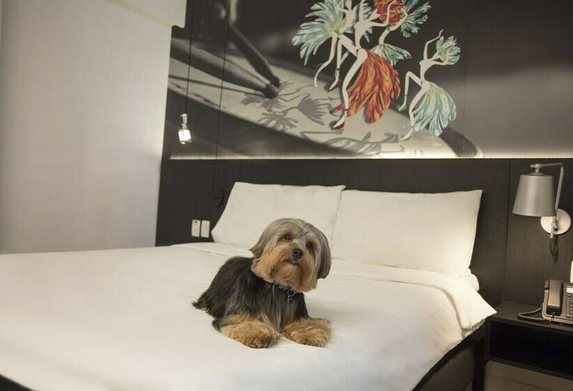 اتاق خانوادگی, Ibis Styles Taubate