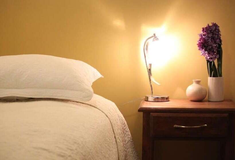 Standard Single Room Single Bed, Samana Colca
