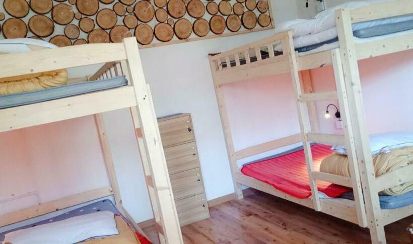 تختخواب در اتاق مشترک, The Moon Bird Hostel