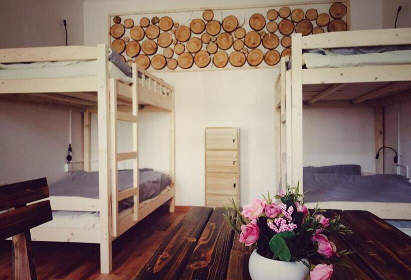 تختخواب در اتاق مشترک, The Moon Bird Hostel