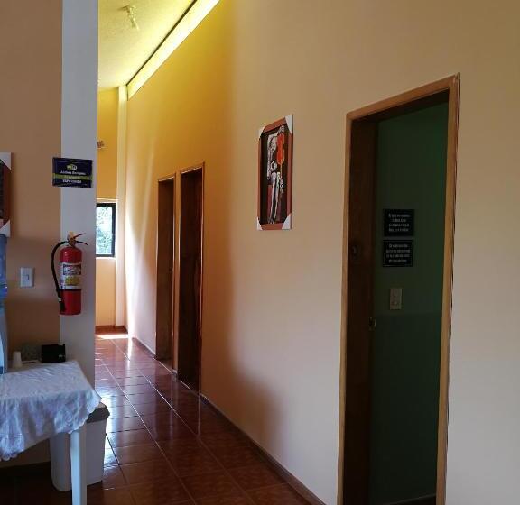 اتاق اکونومی یک تخته, Chapelet Hostal
