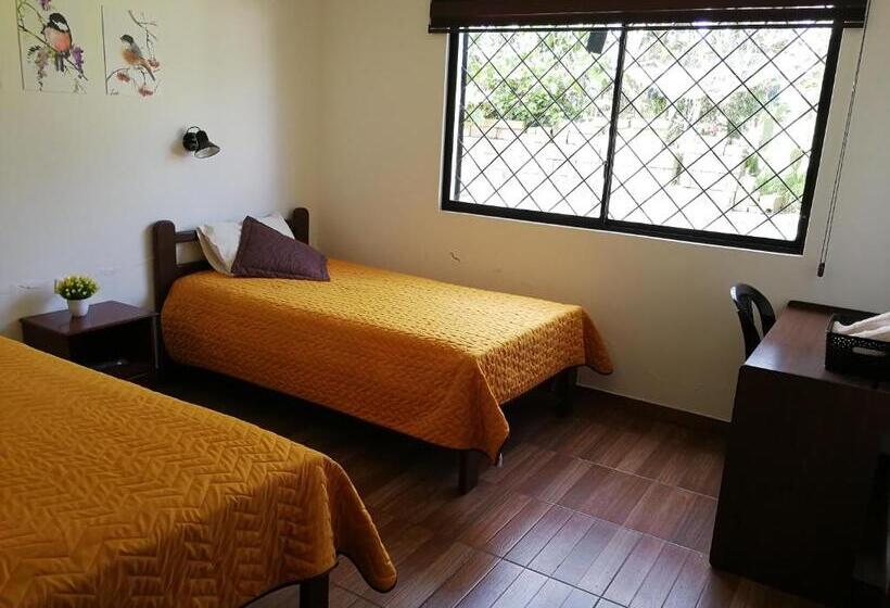 اتاق استاندارد, Chapelet Hostal