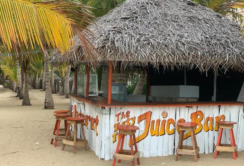 اتاق استاندارد, The Tasty Tuna Cabana