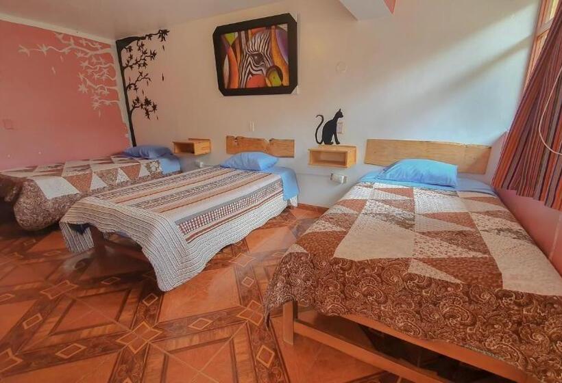 اتاق استاندارد سه نفره, Huaraz Colonial