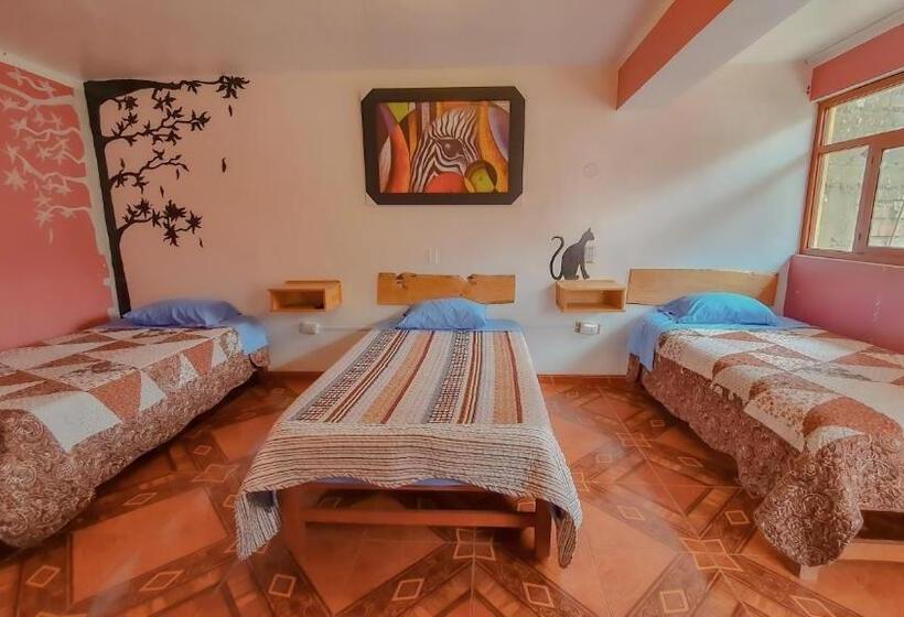 اتاق استاندارد سه نفره, Huaraz Colonial