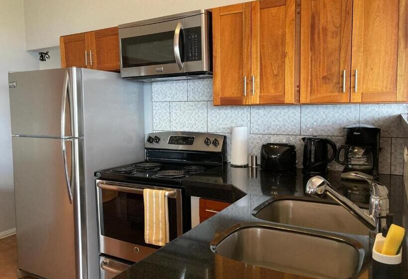 آپارتمان لوکس 1 خوابه, Villas Aracari