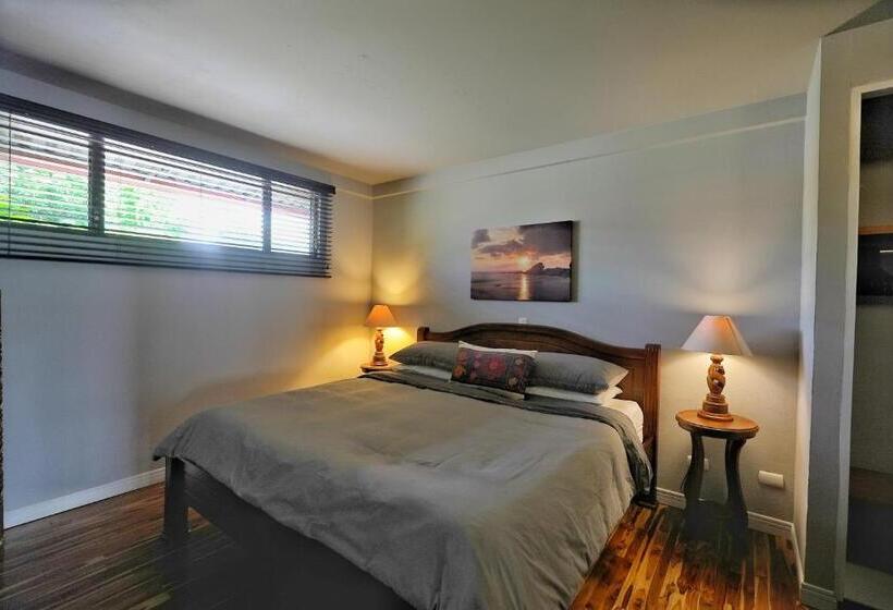 آپارتمان 1 خوابه با چشم‌انداز, Villas Aracari