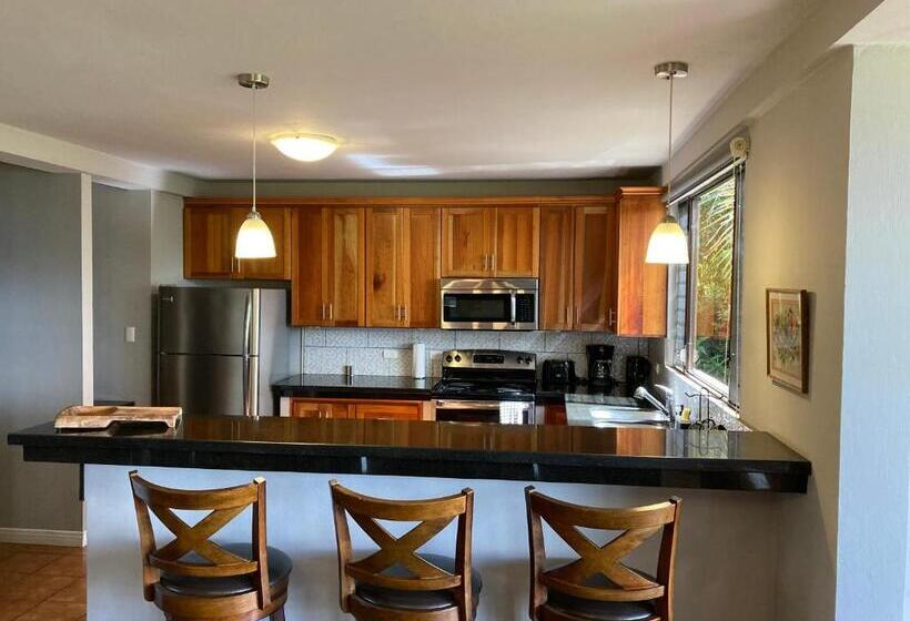 آپارتمان 1 خوابه با چشم‌انداز, Villas Aracari