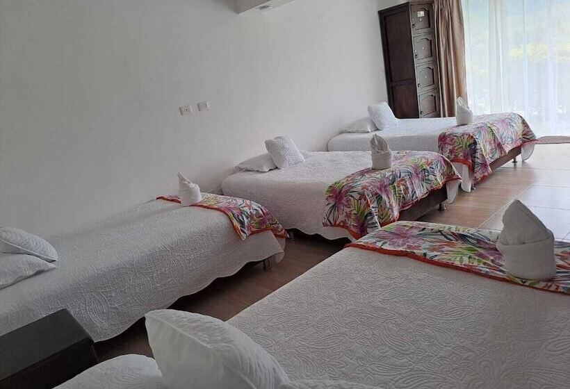 اتاق خانوادگی, Boutique Palmas De Salento