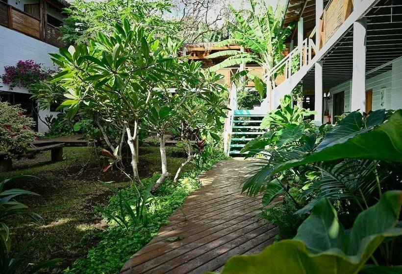 اتاق سوپریور, Hare Nua Hotel Boutique