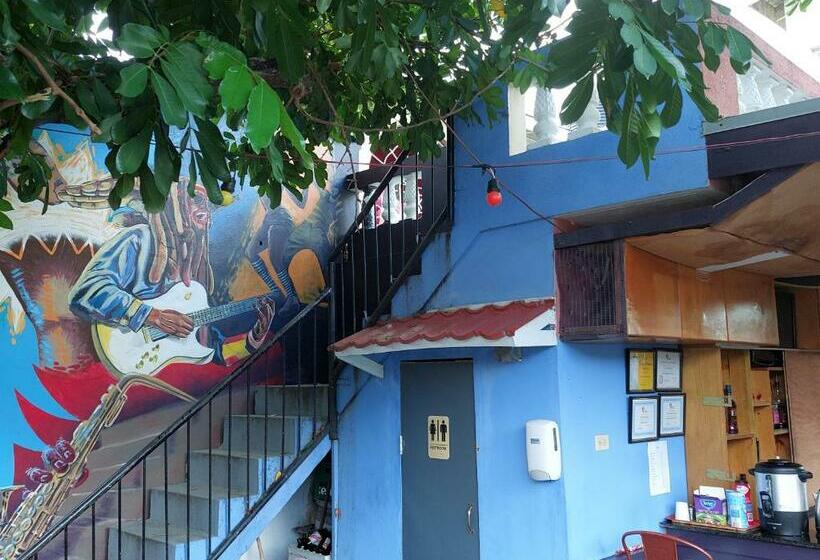 استودیو استاندارد با تراس, Dancehall Hostel