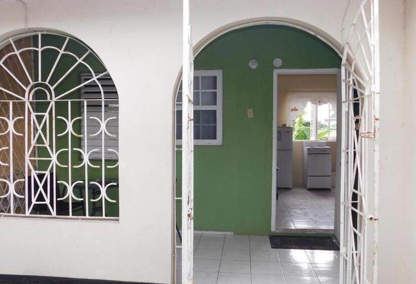 استودیو استاندارد با تراس, Dancehall Hostel