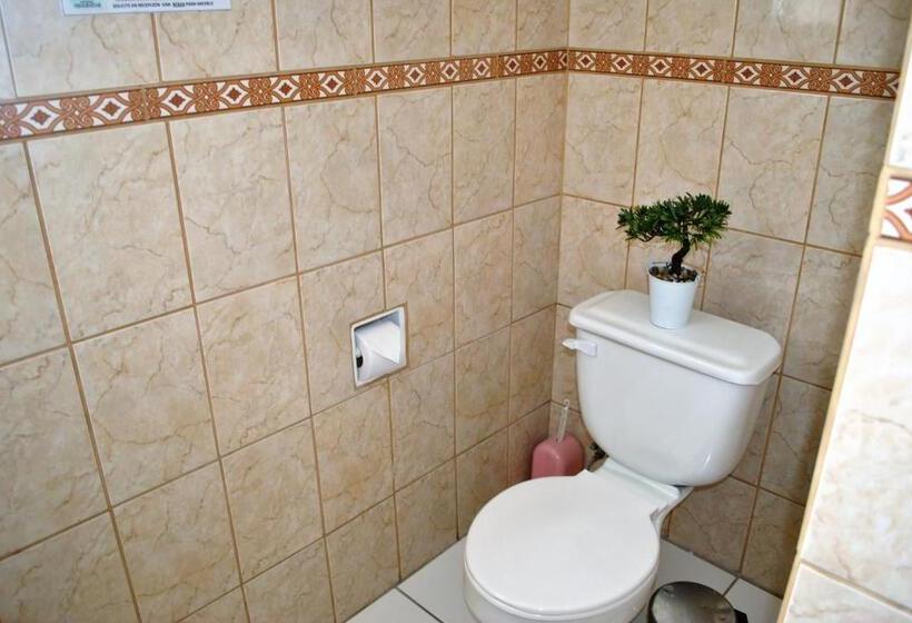 اتاق استاندارد سه تخته با سرویس بهداشتی مشترک, Hostal Pehuenche