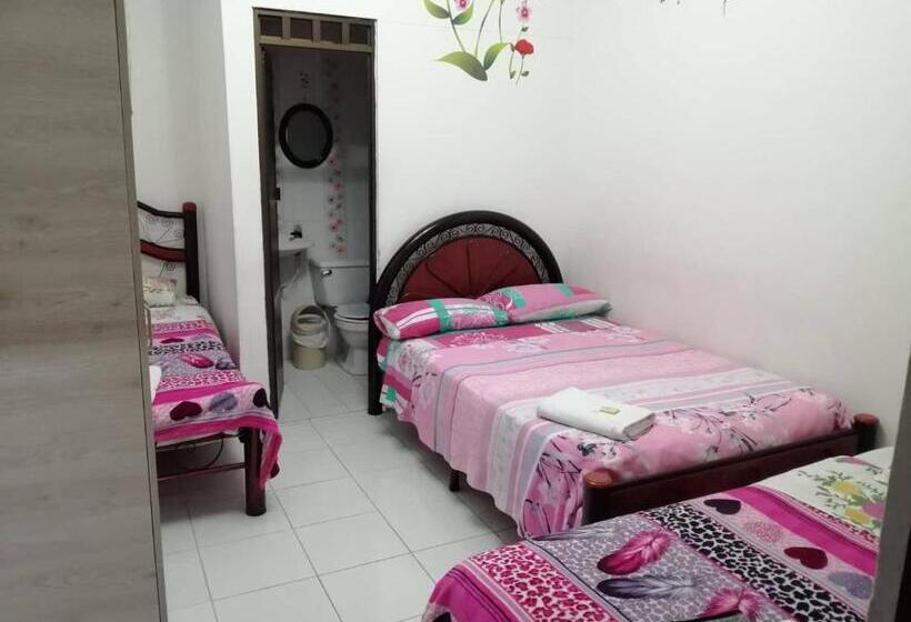 اتاق استاندارد سه نفره, Mi Casita Pereira