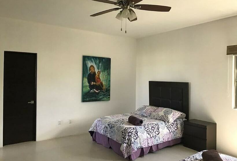 اتاق لوکس, Hostal Urbano