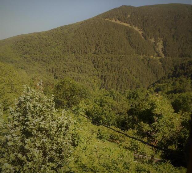 اتاق استاندارد, Can Gasparó Hotelrural&restaurant
