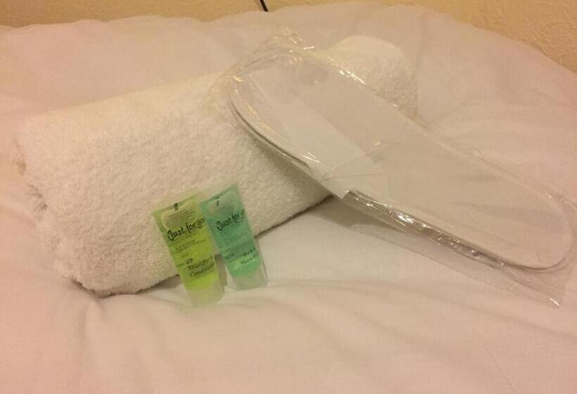 اتاق استاندارد یک نفره, Lady Hamilton Inn