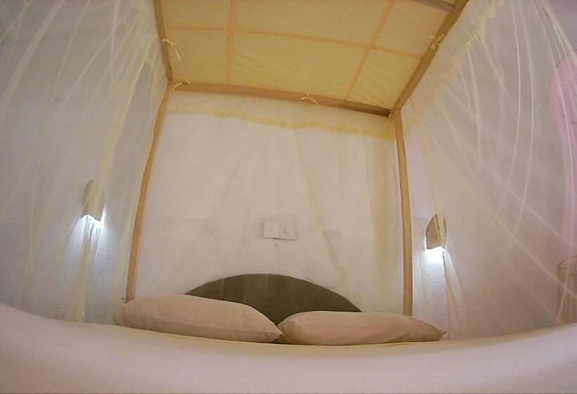 اتاق لوکس, Villa Crocodile Beach