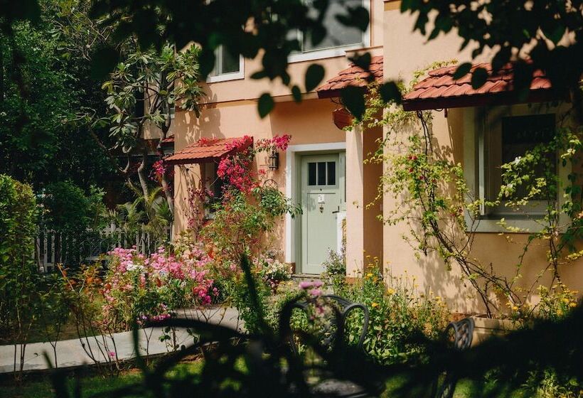 استودیوی استاندارد, Karma Chalets