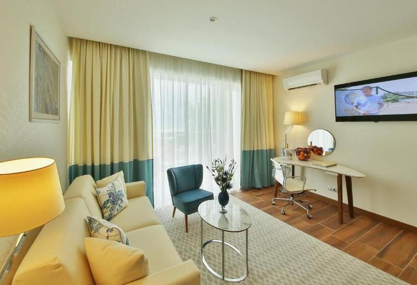 اتاق دلوکس با چشم‌انداز پارک, Maritim Hotel Paradise Blue