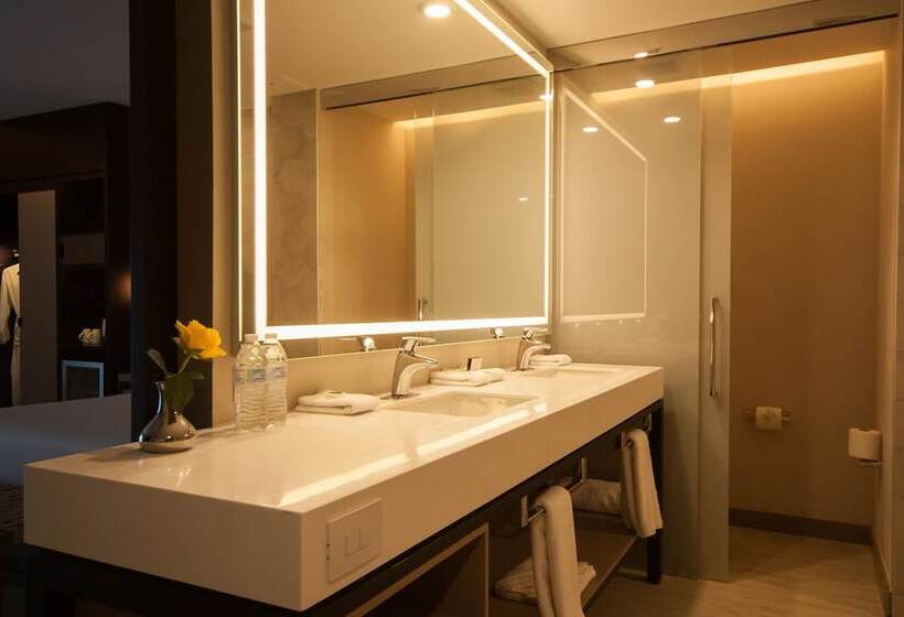 اتاق استاندارد, Hyatt Centric Guatemala City