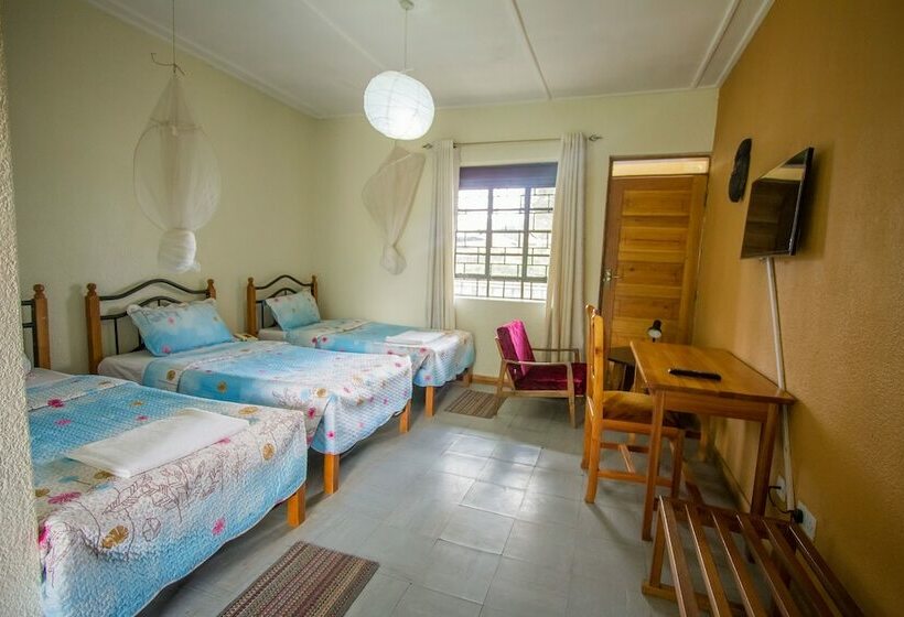 اتاق استاندارد یک نفره, Kisoro Tourist