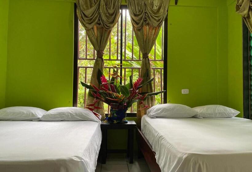 اتاق استاندارد چهار تخته, Los Amigos Jungle Hotel Tortuguero